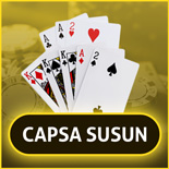 Capsa Susun